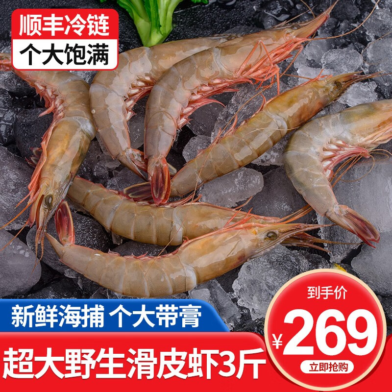 九号港 东海新鲜海捕滑皮虾 新鲜海鲜水产剑虾呛虾条虾 生鲜虾类 3斤（30-40只/斤）