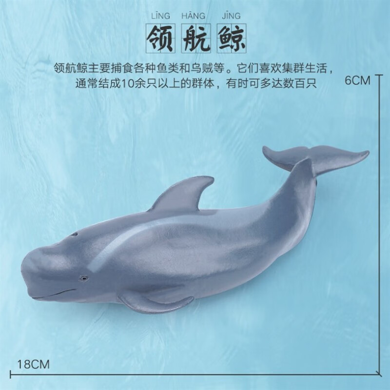 久耀儿童玩具仿真海洋动物海底生物模型大白鲨鲨鱼海豚抹香鲸虎鲸螃蟹 18厘米领航鲸