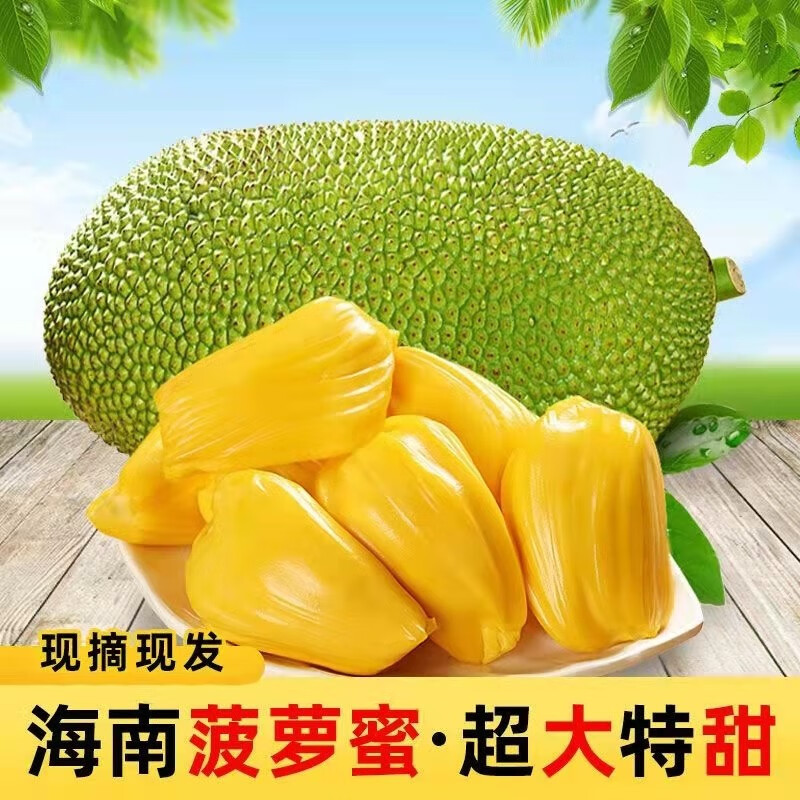 海南三亚干苞菠萝蜜干苞木菠萝大树菠萝蜜应季孕妇新鲜水果 20-24斤菠萝蜜