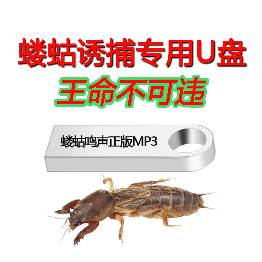 蝼蛄捕捉器套装诱捕声音土狗全套诱捕器诱捕灯漏斗神器设备 声卡u盘