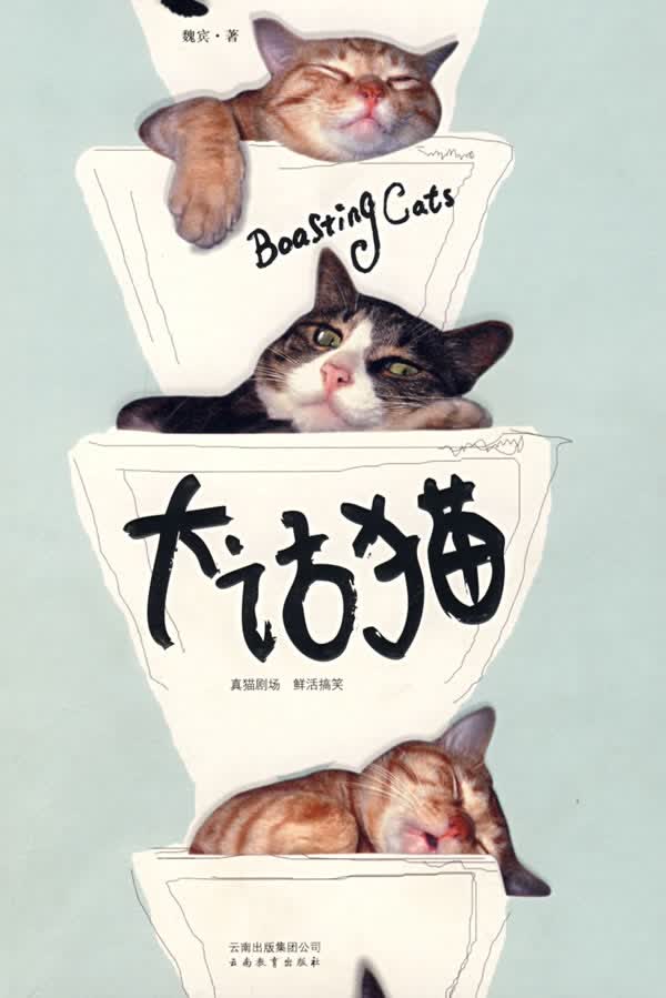 大话猫 动漫 魏宾 云南出版集团公司 9787541534072