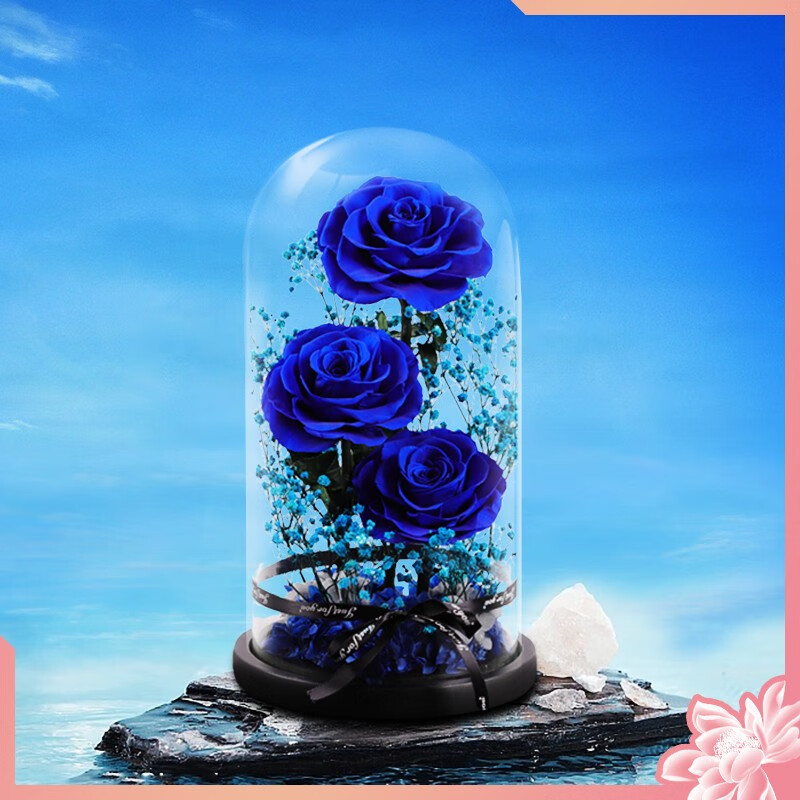 查永生花最低价格用什么软件|永生花价格比较