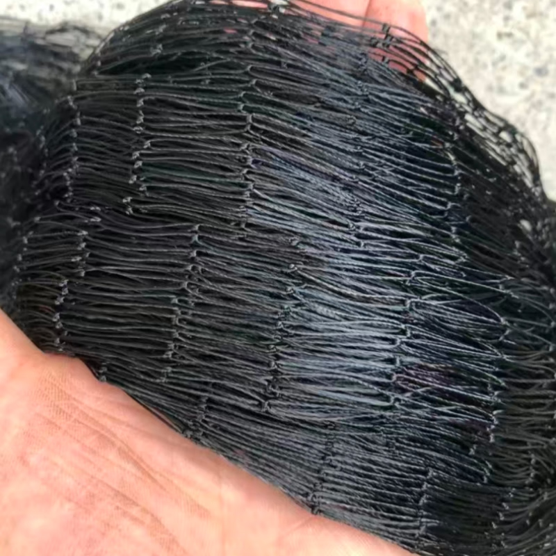 心头肉户外尼龙加粗长虫网蛇网20米长50公分高 尼龙双主线到家就能用 4.2网眼 10张 适合1-5斤