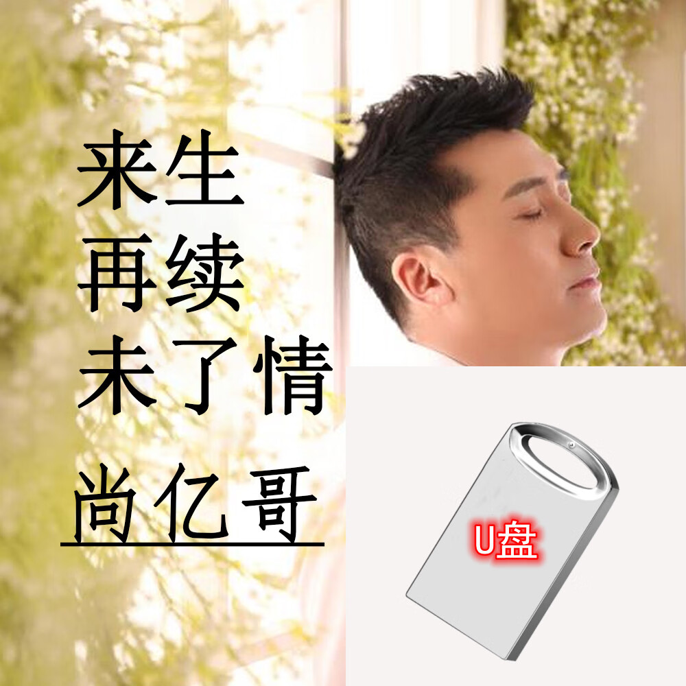 精灵来生再续未了情usb音频47首歌曲mp3 wav无损音频4g内存u盘尚亿哥