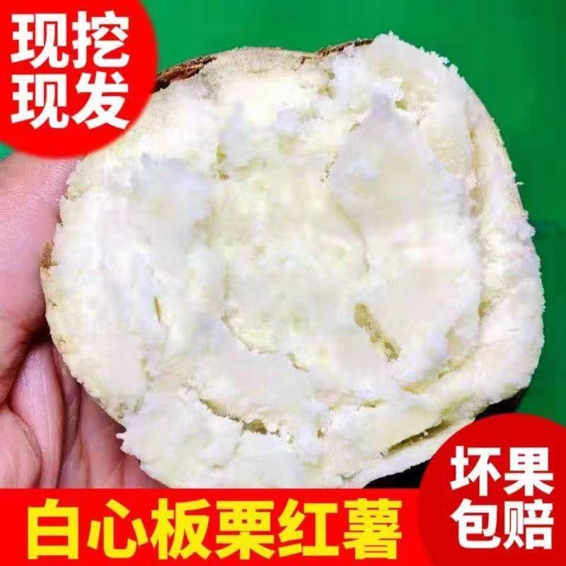 帆儿庄园【帆儿庄园】红皮白心红薯板栗新鲜白瓤地瓜蕃薯 2.5kg