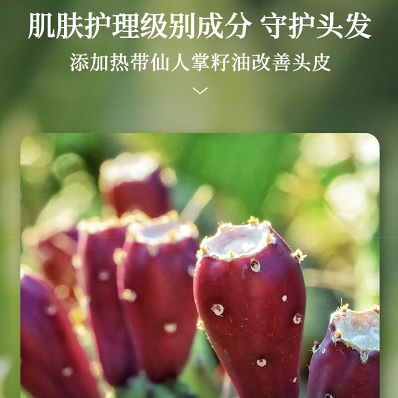 薇婕珂特日本进口-植物护发素A02 蓬松柔顺500g 清爽控油烫染养护深层滋养 白色