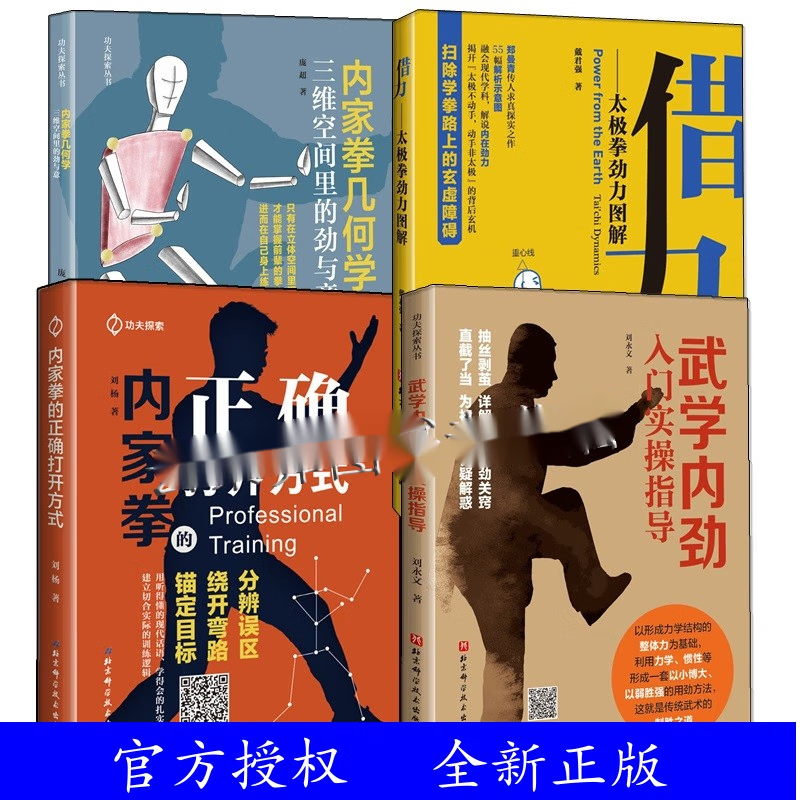 4册 内家拳几何学 三维空间里的劲与意+内家拳的正确打开方式+武学内劲入门实操指导+借力 太极拳劲力图解 拳术拳法姿势动作书籍