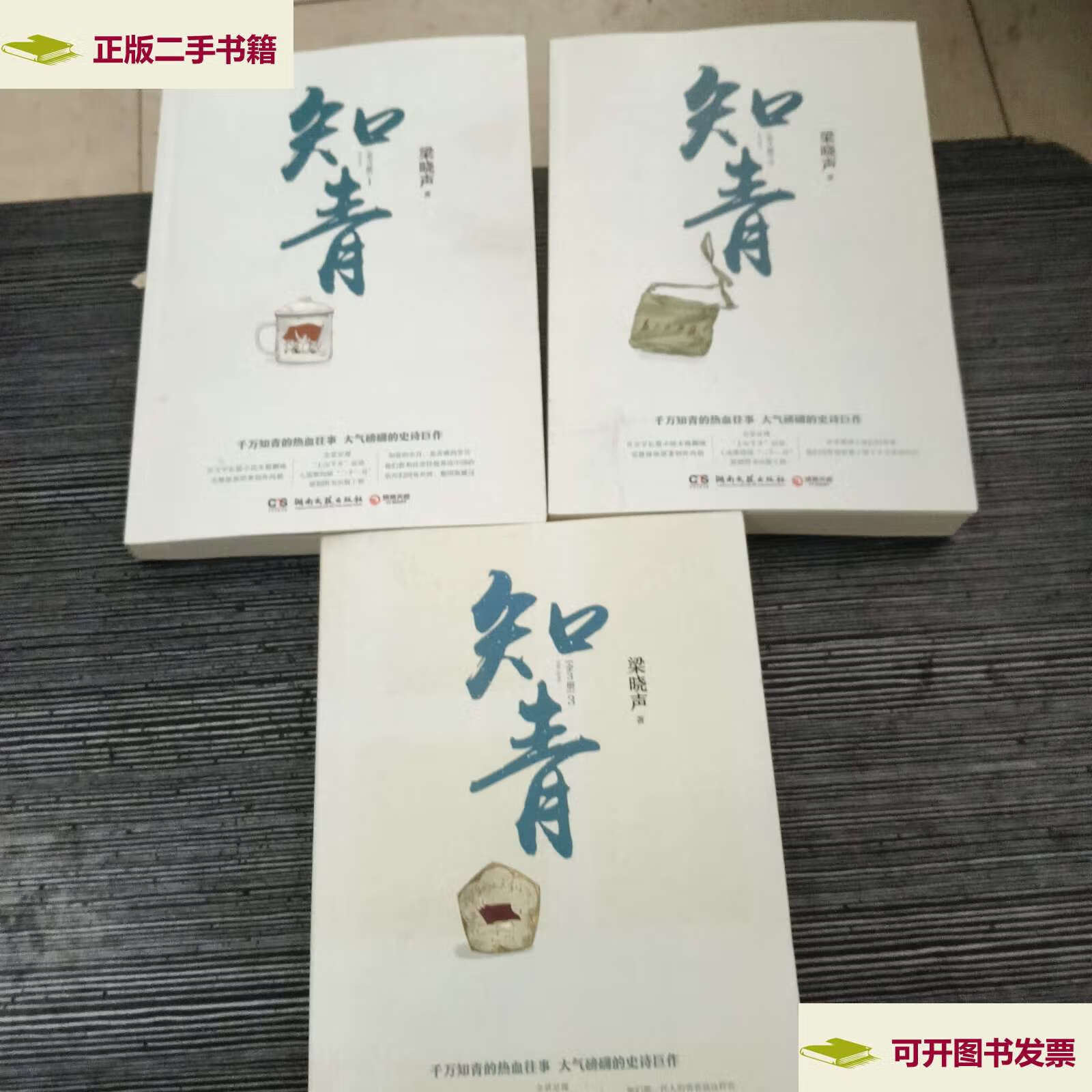 【二手9成新】知青(梁晓声经典文学作品全3册) /梁晓声 湖南文艺