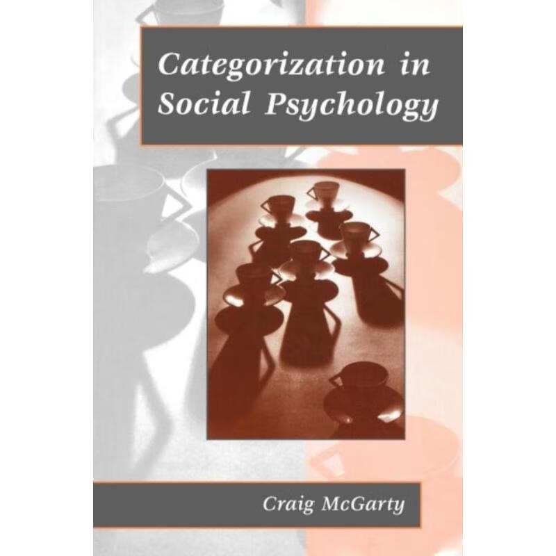 按需印刷categorization in social psychology