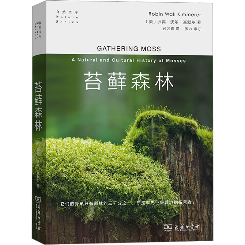苔藓森林 图书