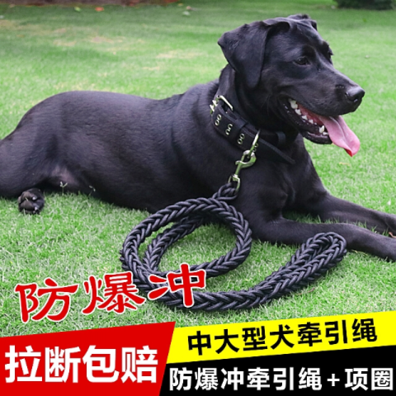 嬉皮狗（hipidog）大型犬狗链子大狗牵引绳带狗绳狗项圈阿拉斯加德牧金毛狗狗牵引绳 牵引绳+项圈：黑色 大号牛角勾(建议70-120斤)