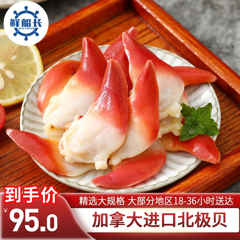 xcz) 北极贝刺身 加拿大进口新鲜冷冻 即食日料寿司料理专用 海鲜贝类