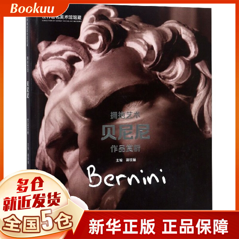 拥抱艺术(贝尼尼作品赏析)