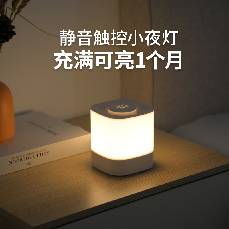 爱耐特usb充电触摸小夜灯氛围灯床头灯卧室睡眠灯起夜喂奶护眼宿舍阅读 充电款-4000mAh(可充插两用)