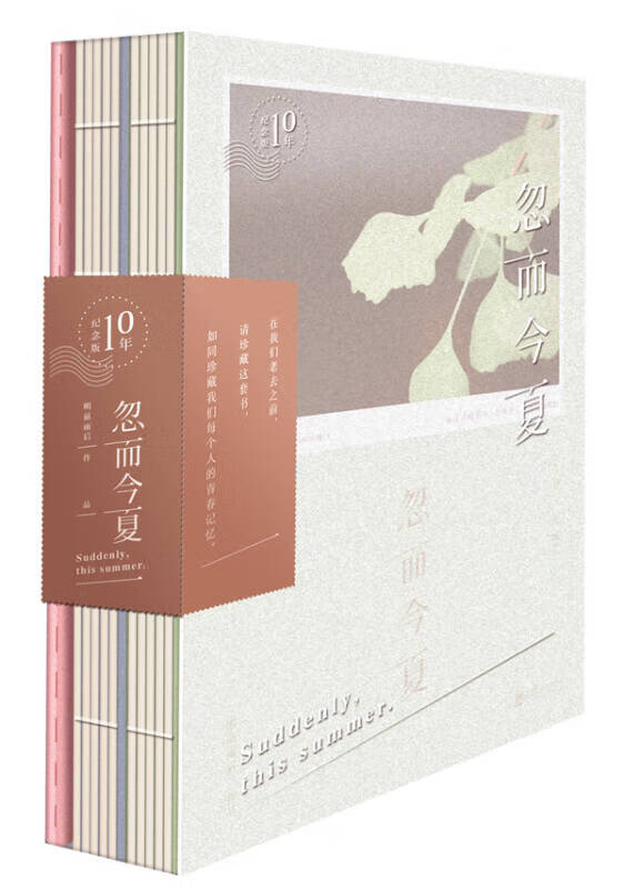 忽而今夏 我爱过的男孩有世界上英俊的侧脸