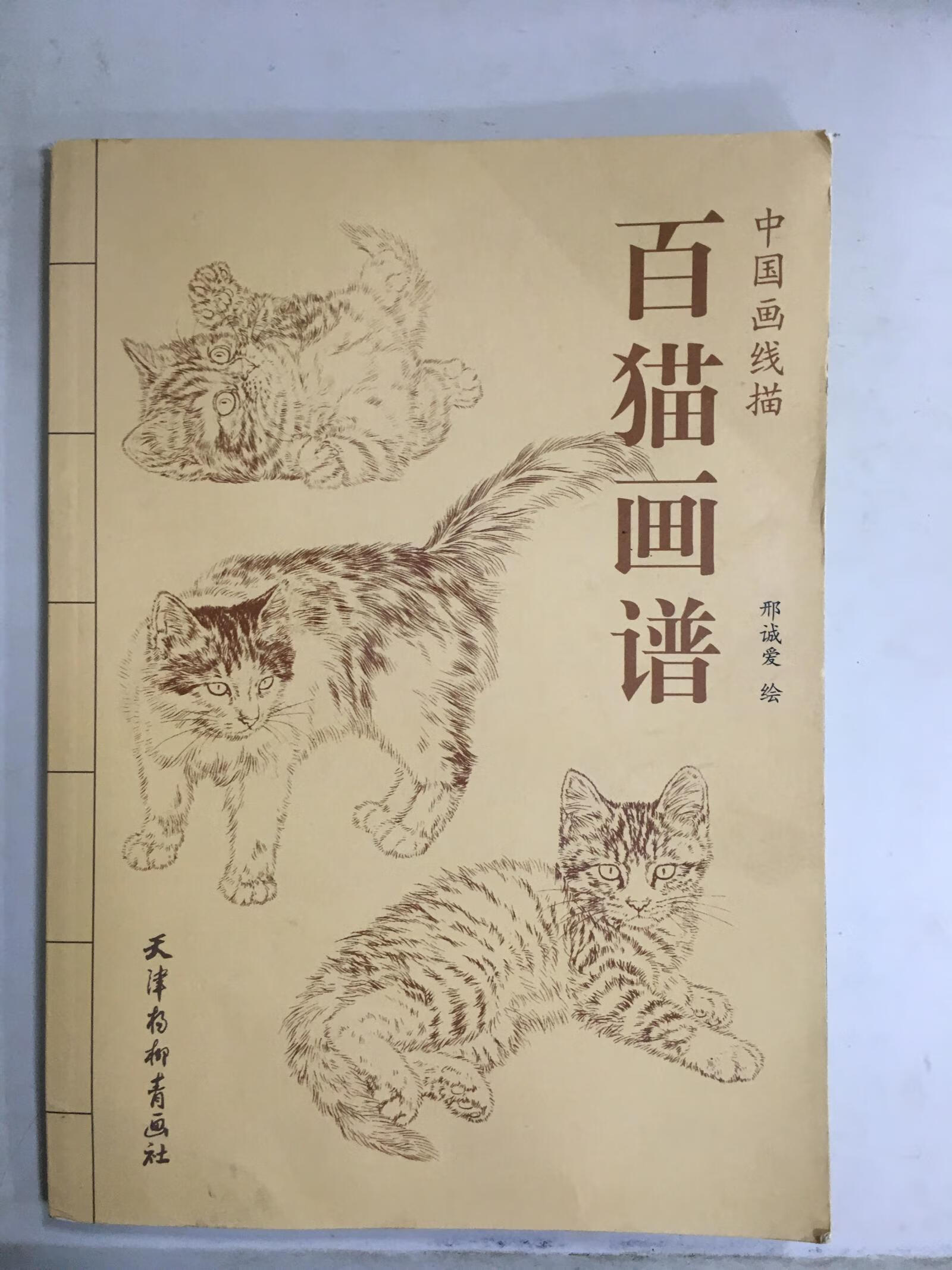 百猫图谱【正版书籍,畅读优品】