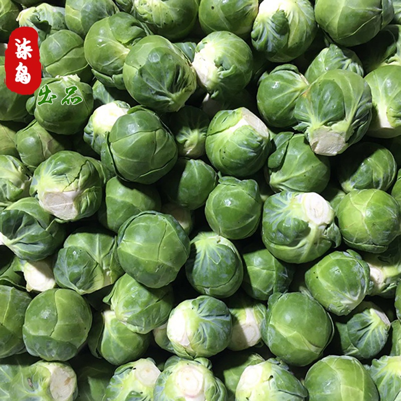 棠鲜生 新鲜孢子甘蓝抱子甘蓝迷你小包菜芽甘蓝沙拉菜卷心菜500g