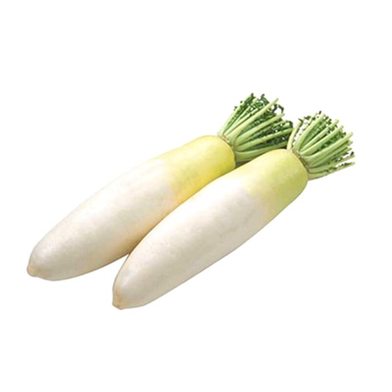 蔬菜种子孑春秋冬季阳台家庭四季上海香青菠韭菜 白萝卜种子300粒/袋