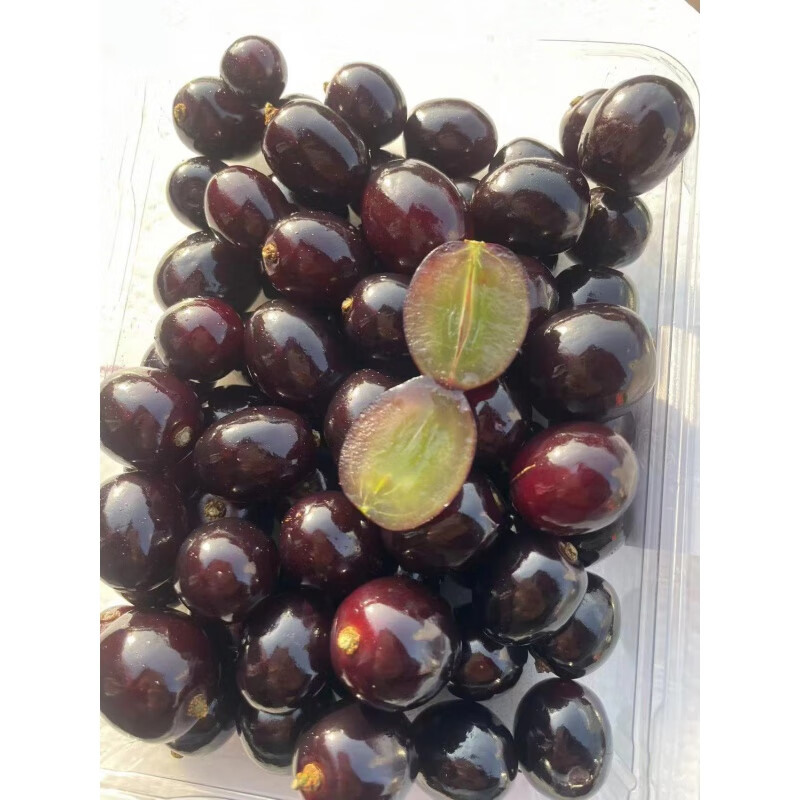 蛟龙果新鲜当季水果黑珍珠罕见稀有水果北京发 800g