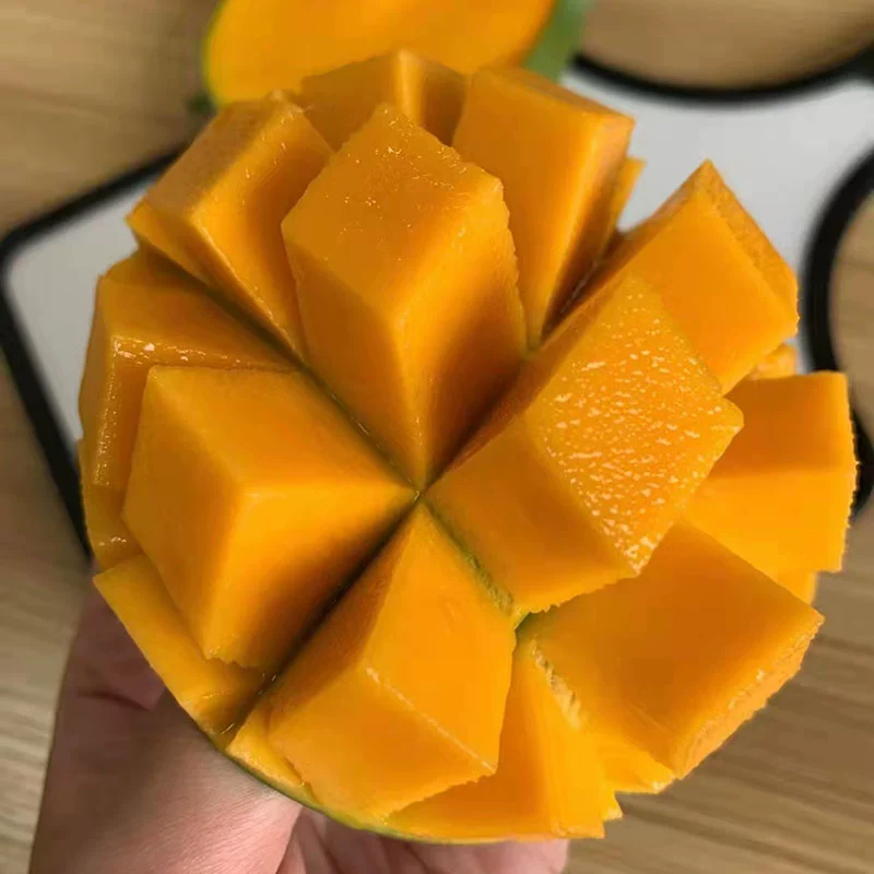 果迎鲜 芒果 净果4.5斤 广西金煌芒 青芒果 新鲜水果