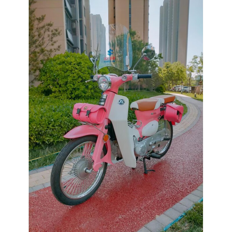 runtema重庆嘉陵coco幼兽pro摩托车两轮燃油弯梁摩托车可上牌 2021年