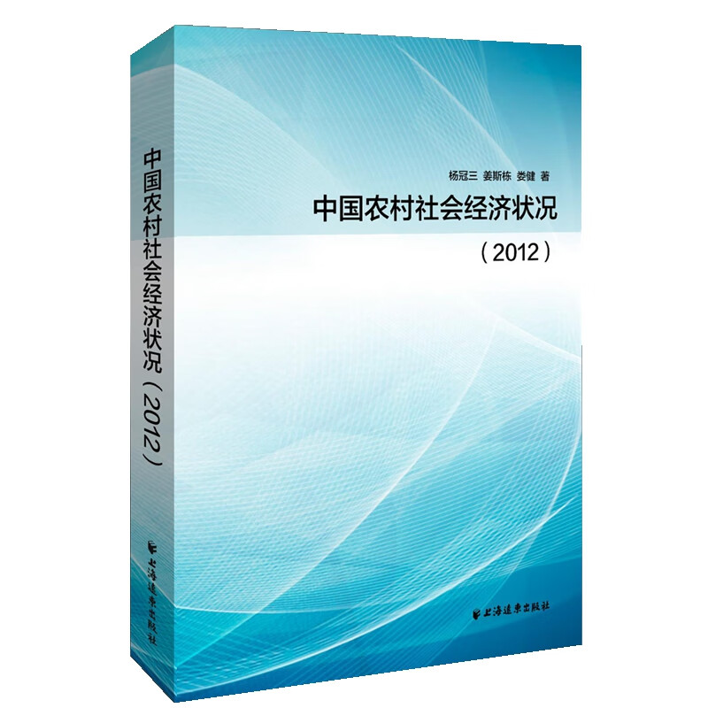 2012年中国农村社会经济状况