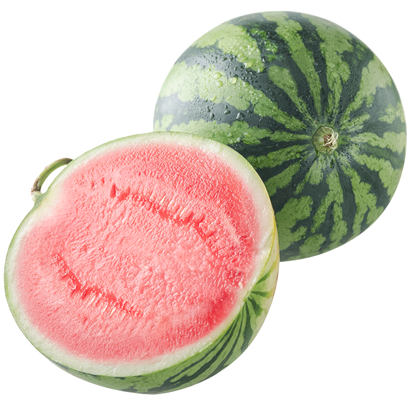 ٺ ɴ8424ɳȿ챡Ƥ 84245gx2