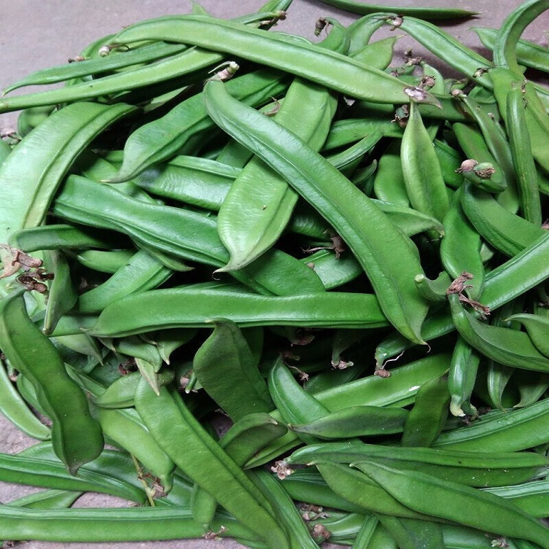 凤鸣雅世 红刀豆种子刀豆种挟剑豆洋刀豆种籽农家大红刀豆种子巴西豆