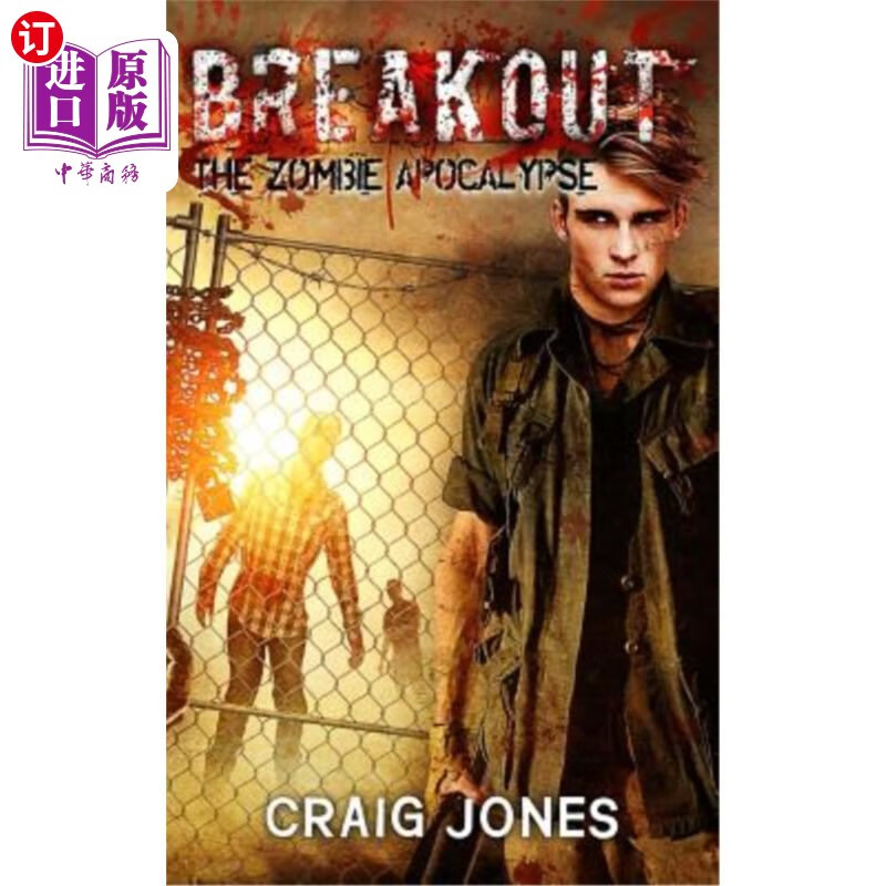 海外直订breakout 突破