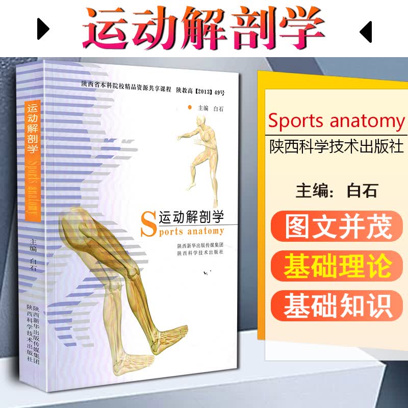 正版 运动解剖学 西安体育学院考研专用教材 陕西科学技术出版社9787536964556