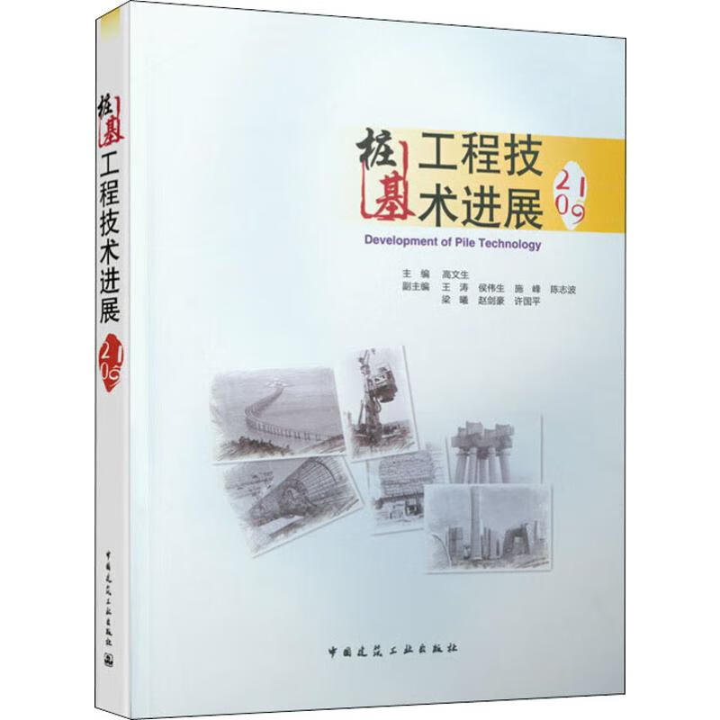桩基工程技术进展 2019