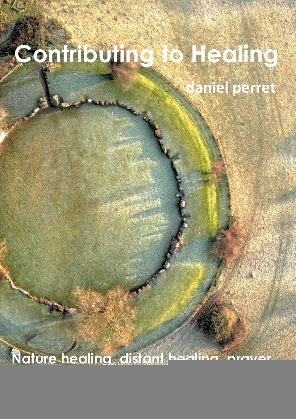 【预售 按需印刷】contributing to healing