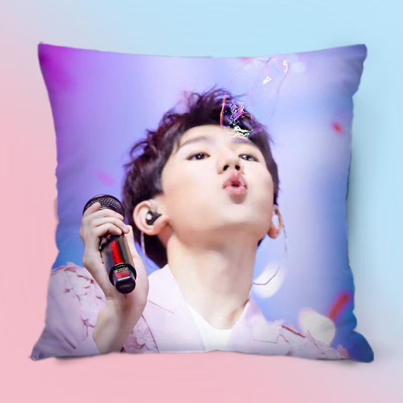 芍萌(shaomeng)王源同款抱枕定制周边应援小汤圆女生睡觉tfboys人型