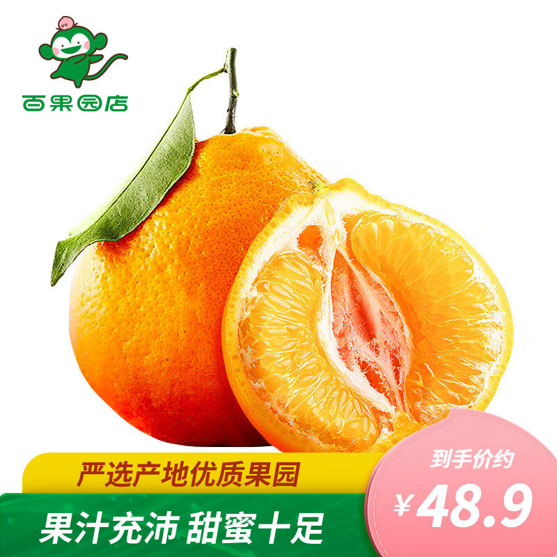 桔橘历史价格在线查询|桔橘价格走势