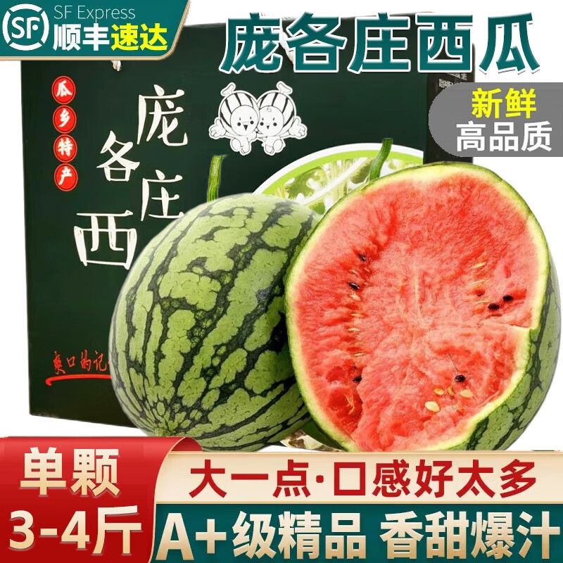 庞各庄西瓜正宗北京大兴牛奶冰糖吊瓜薄皮甜端午礼盒装迷你小西瓜 2颗