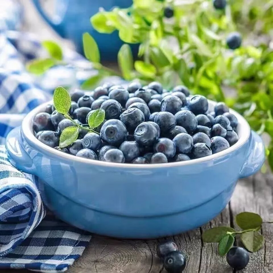 蓝莓干的作用与功效