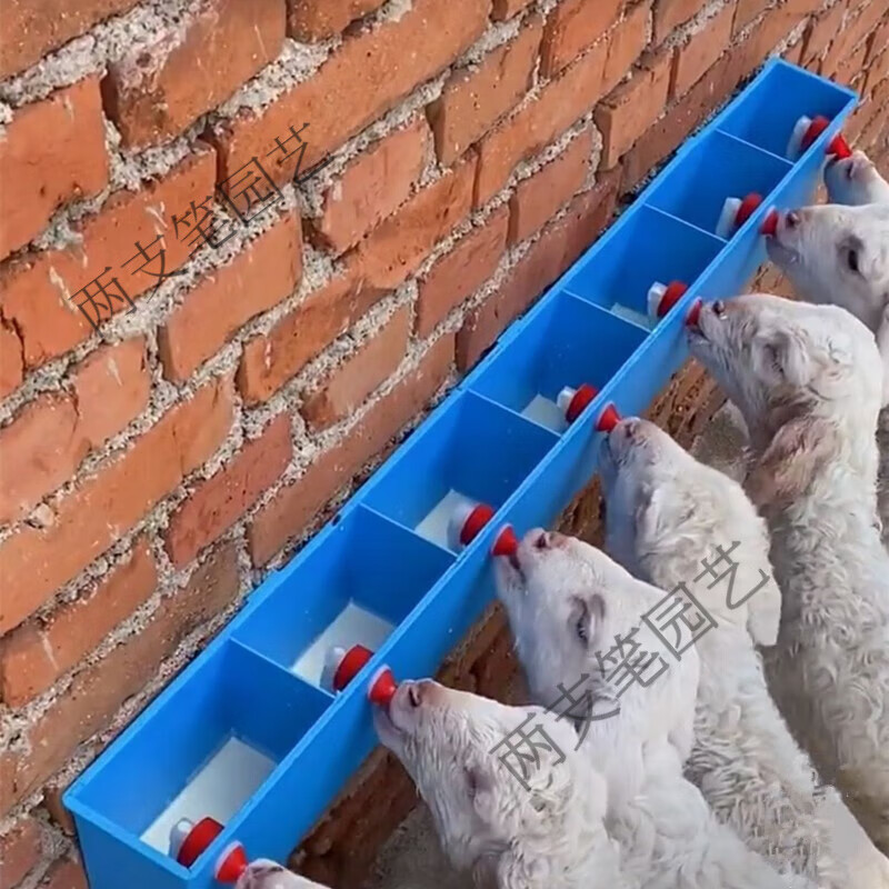 喂羊用小羊羔专用羔羊喂奶器神器哺乳机兽用仔猪多头奶瓶小猪奶壶