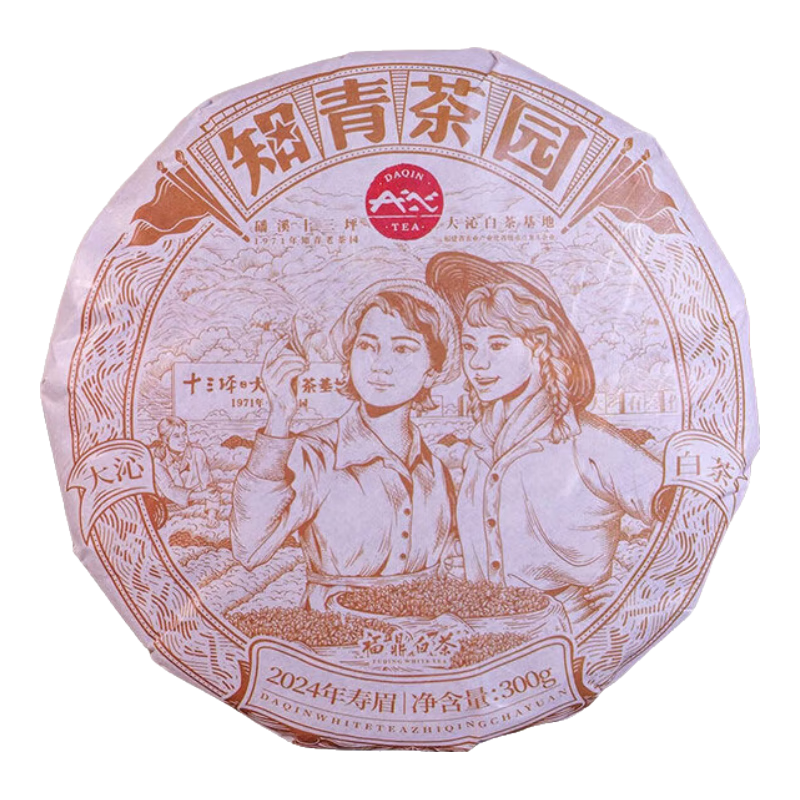 大沁白茶 2024年春茶 福鼎白茶壽眉餅 磻溪知青茶園300g 白茶禮盒 整提（300克*7餅+送保溫杯）