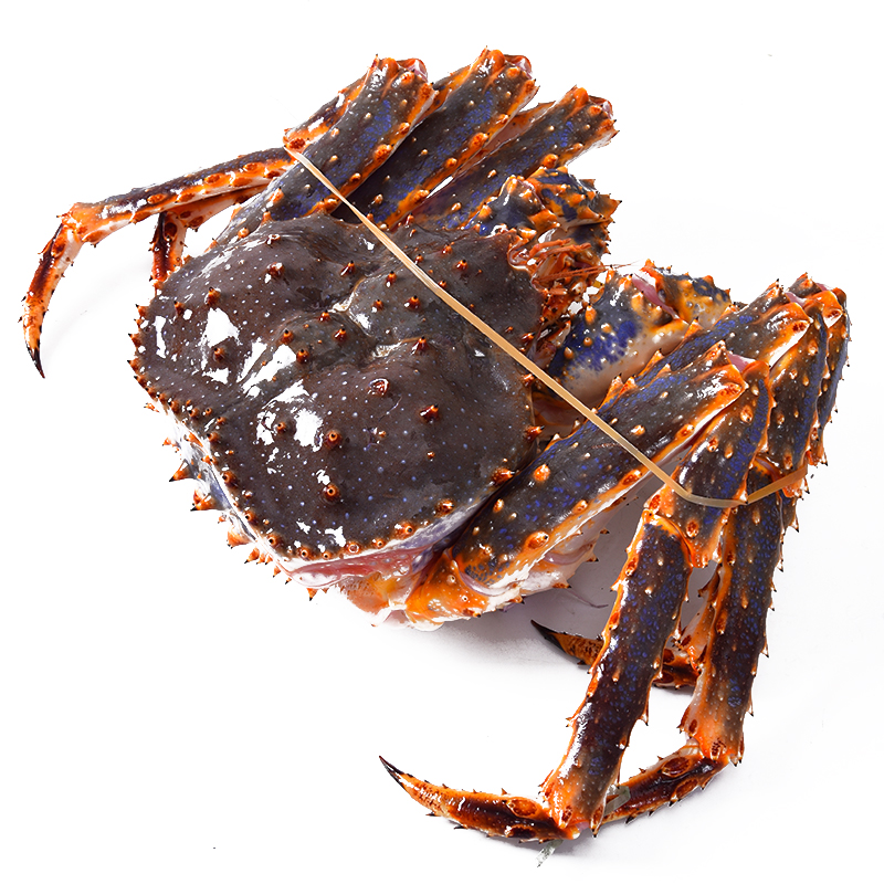 【活鲜】御鲜之王 阿拉斯加鲜活帝王蟹 海鲜水产深海大螃蟹 （奢华大蟹）4.5-4.8斤/只
