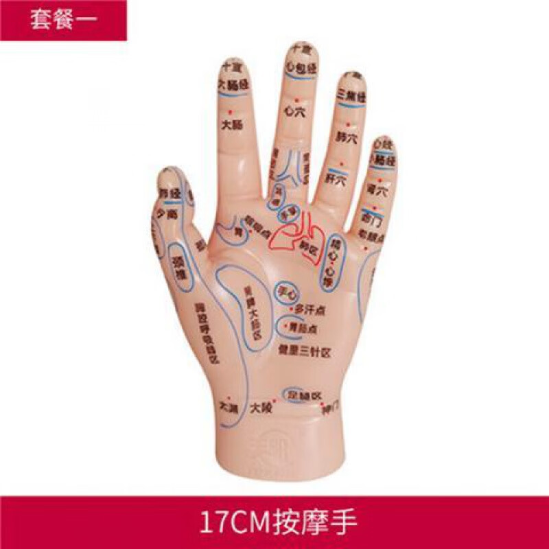 模型人体部位按摩反射区穴位模型手足耳部耳朵推拿手掌手背脚足部刻字