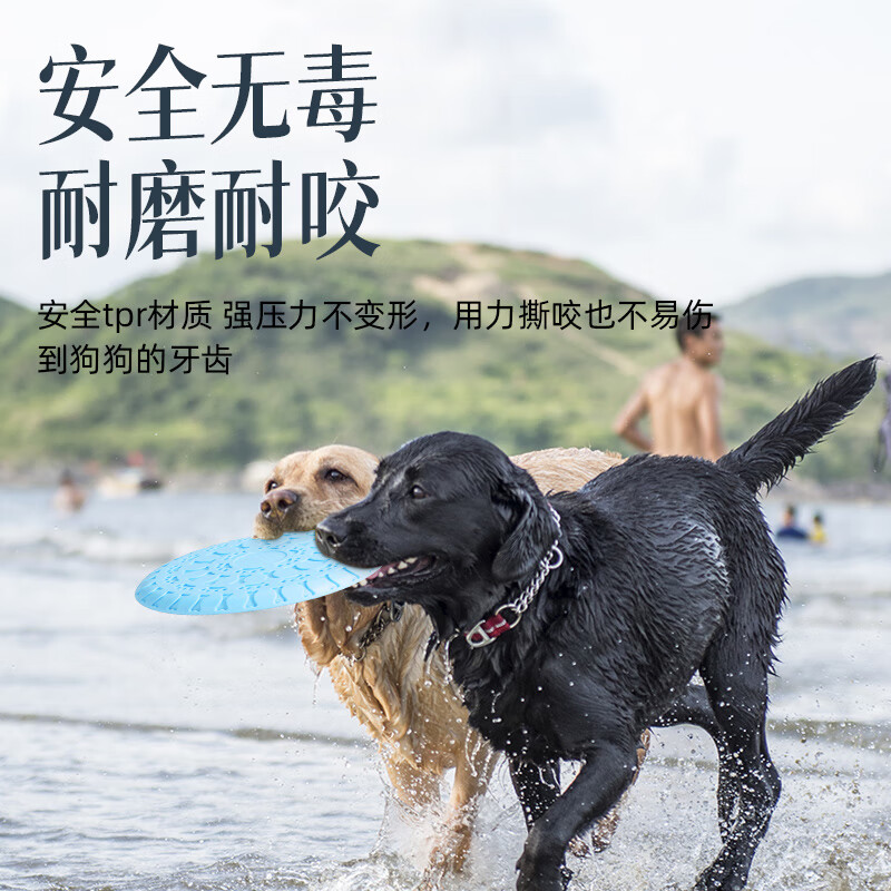 GERTHRON德国狗狗专用飞盘户外训狗耐咬软飞碟边牧金毛小中小型犬宠物训练 蓝色*2【柔软耐咬飞盘】 小中大型犬适用