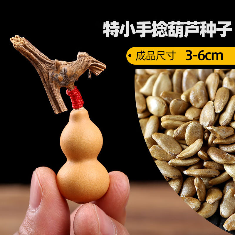 天然文玩手捻特小葫芦种子观赏中号葫芦种植特大巨型亚腰葫芦种籽 特