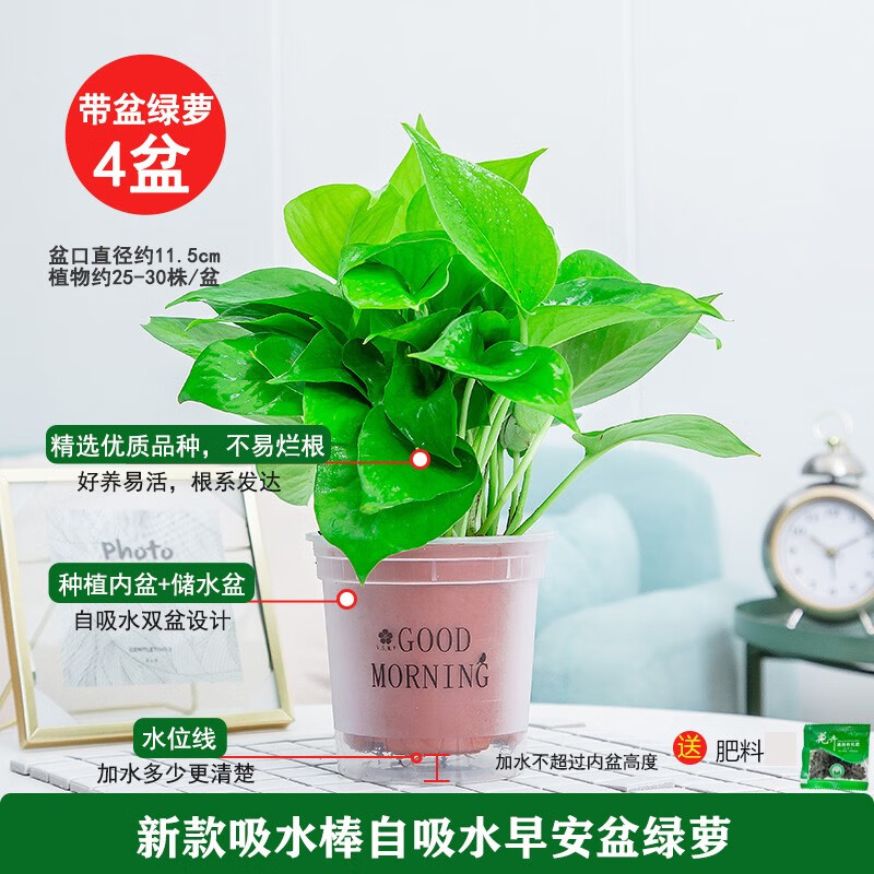 查看京东绿植盆栽花卉盆栽历史价格|绿植盆栽花卉盆栽价格走势图