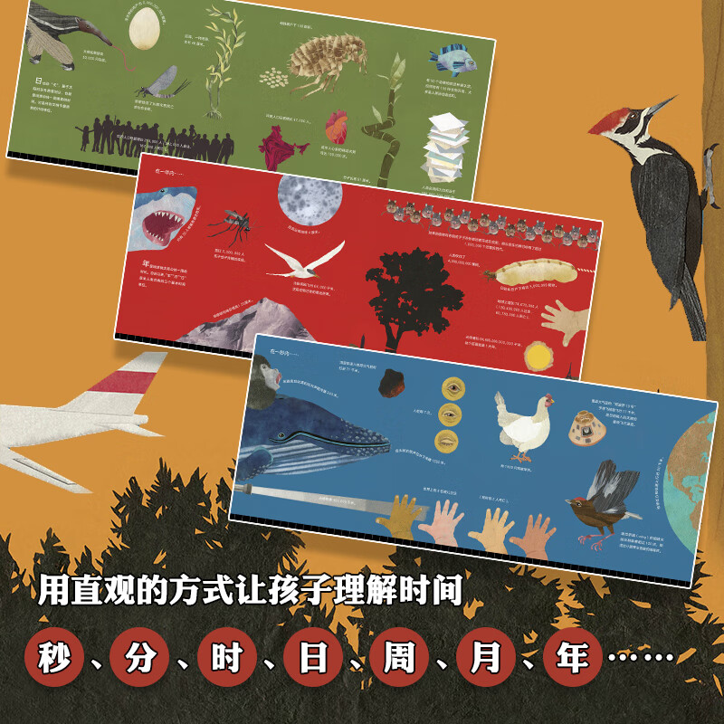 一秒有多长 让孩子用直观方式理解时间 （爱心树童书）详情图