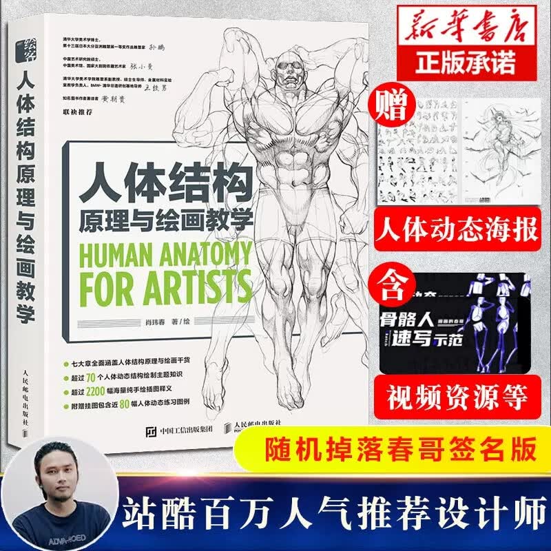 评35人体结构原理与绘画教学肖玮春 画画的春哥 插画人物结构造型绘画零基础入门自学教材临摹艺术册集 设计教程书