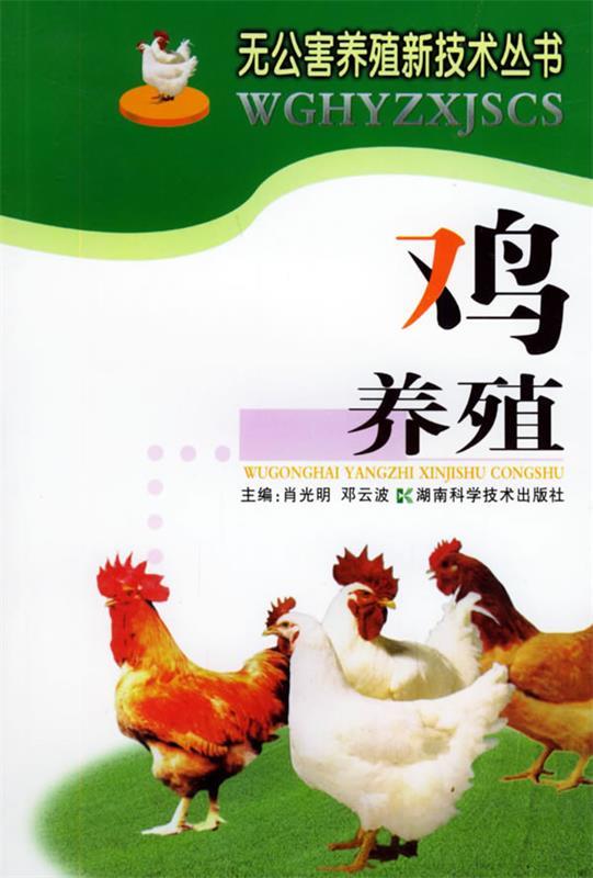 鸡养殖