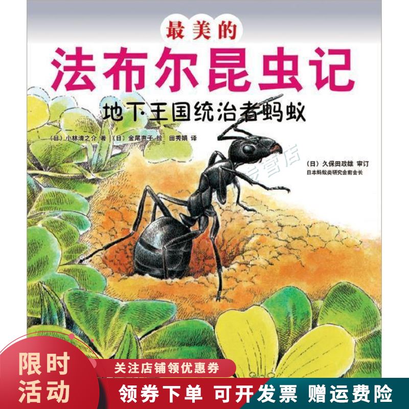 美的法布尔昆虫记地下王国统治者蚂蚁【上新】