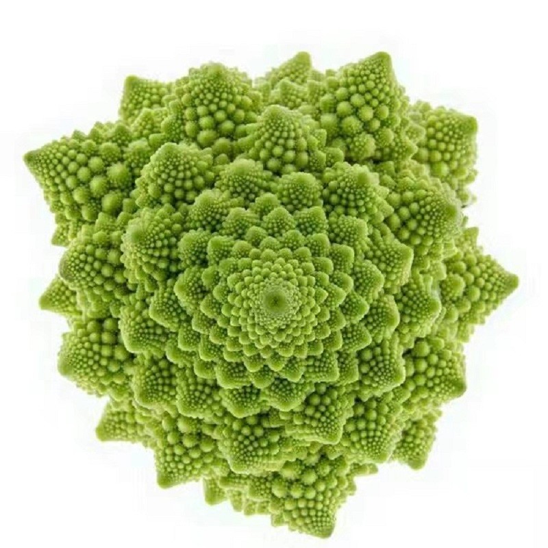 新鲜宝塔花菜新鲜蔬菜罗马花椰菜特种蔬菜酒店配菜时令蔬菜 600克一颗