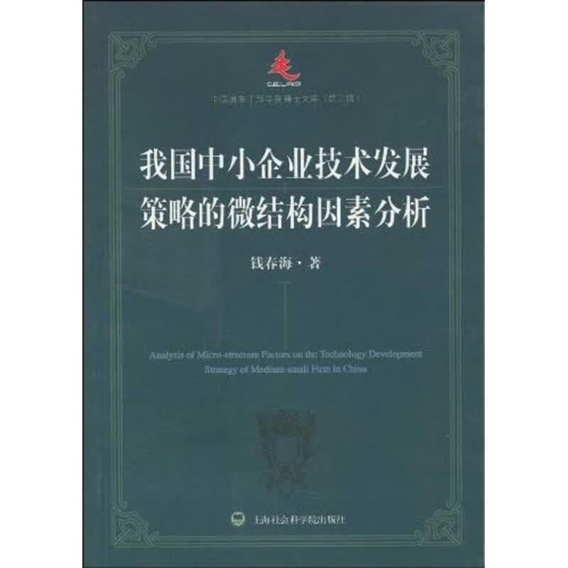 我国中小企业技术发展策略的微结构因素分析