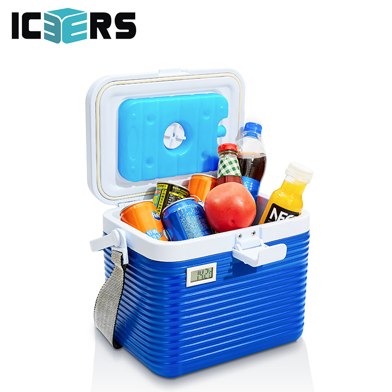 ICERS（艾森斯）8L保温箱 车载胰岛素冷藏箱 冷热二用便携母乳箱 配背带温度计显示  6冰袋